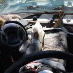 1982_providence-ny_steering