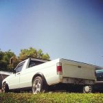 1981_ocala-fl_backside