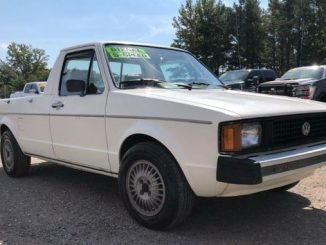 1981 mccalla al