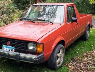 1982 lakeland mn