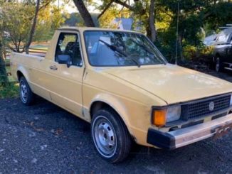 1981 kingsville md