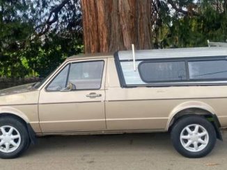 1981 eugene or