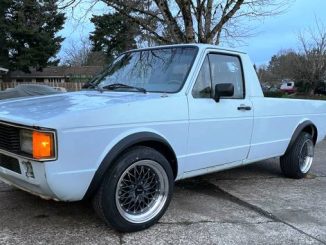 1981 aloha or