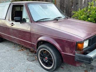 1982 santa cruz ca