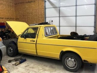 1981 yale ok