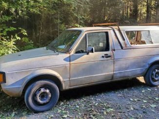 1981 eugene or