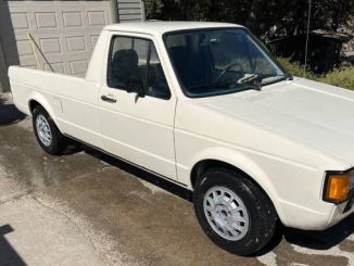 1981 petaluma ca