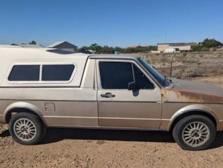 1981 phoenix az