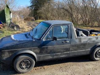 1981 cambridge ny
