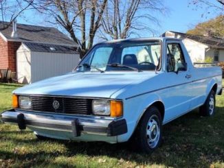 1981 flora in