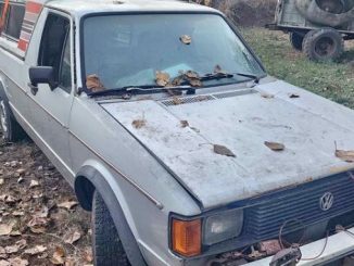 1981 chehalis wa