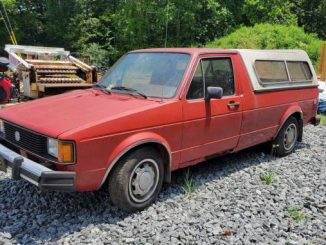 1981 north garden va
