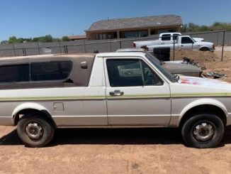 1981 surprise az