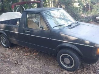 1981 lula ga