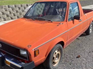 1980 condon or
