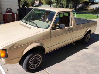 1981 ogden ut
